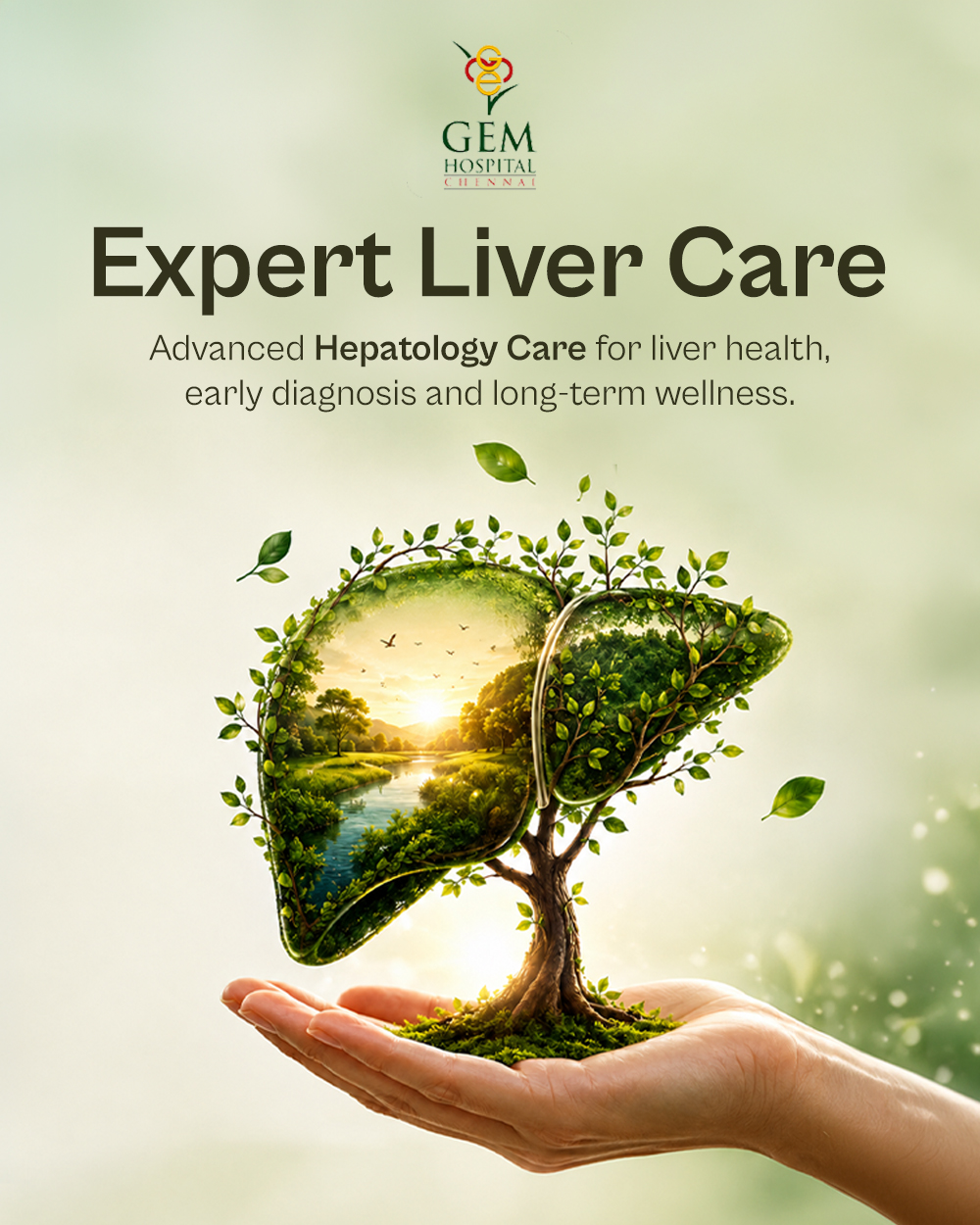 GEM Hospital Banner 2